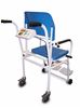 Picture of MARSDEN M-210 Professional Chair Scale